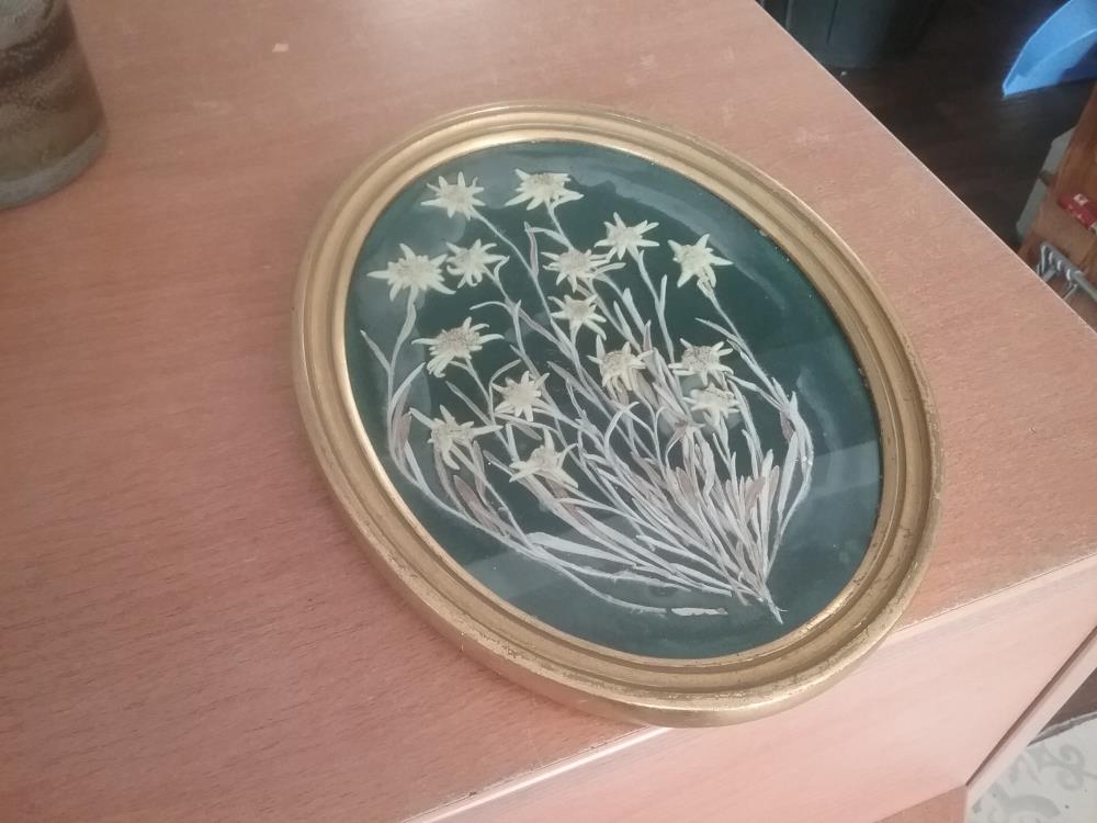 CADRE FLEURS SÉCHÉE 