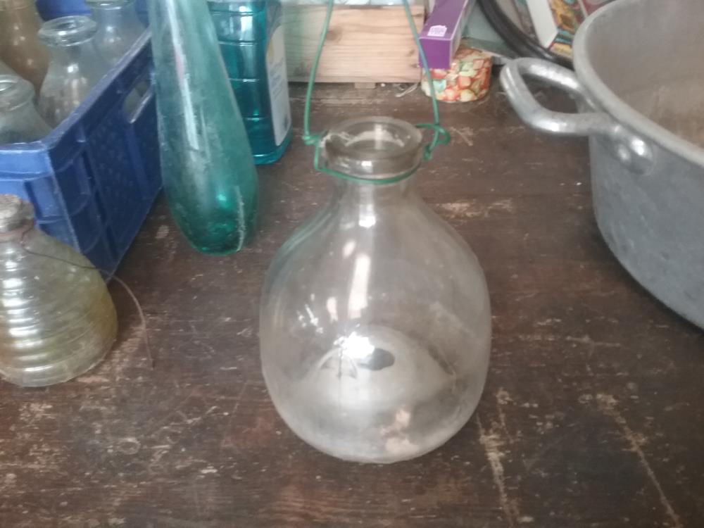 PIEGE GUEPE ANCIEN VERRE GM