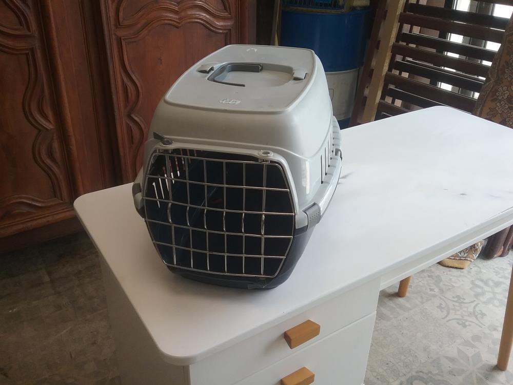 CAISSE DE TRANSPORT CHAT