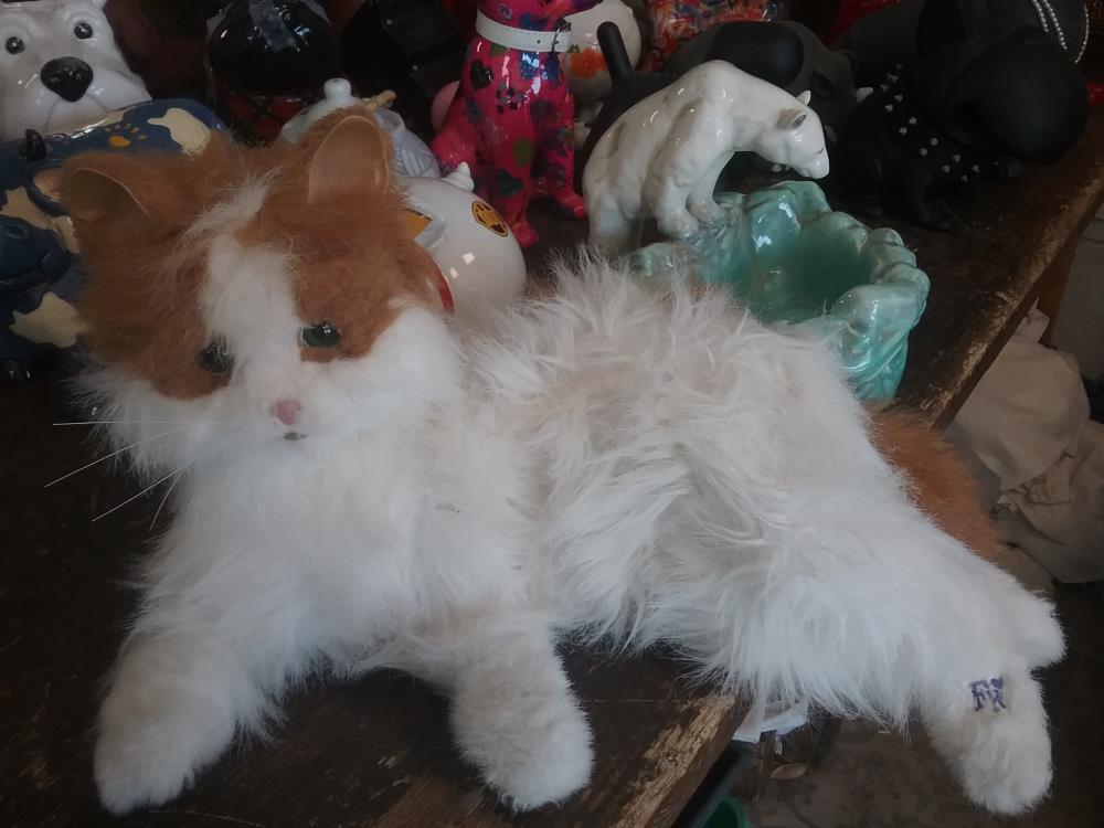 CHAT MOBILE