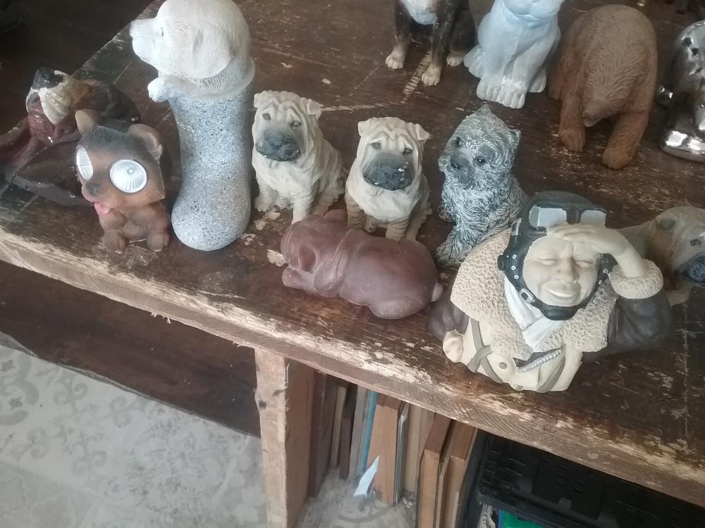 ANIMAL PM