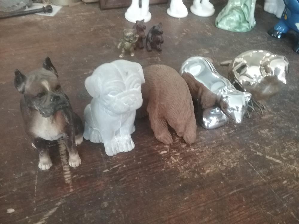ANIMAL MM