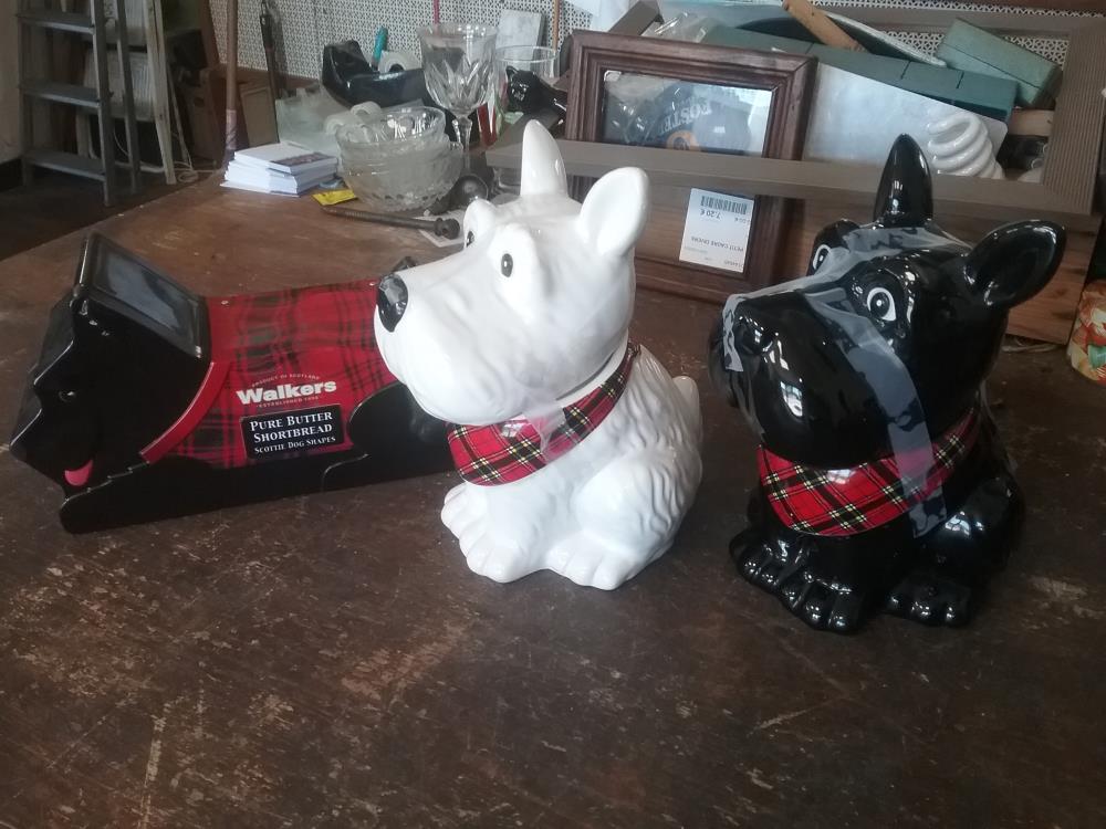 BOITE CHIEN ECOSSE