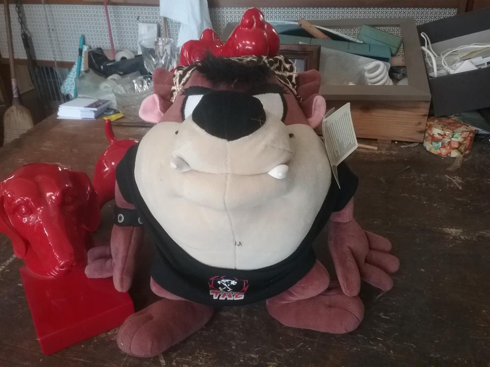 TAZ