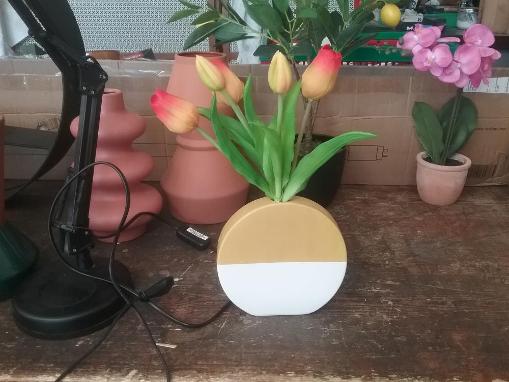 VASE TULIPES