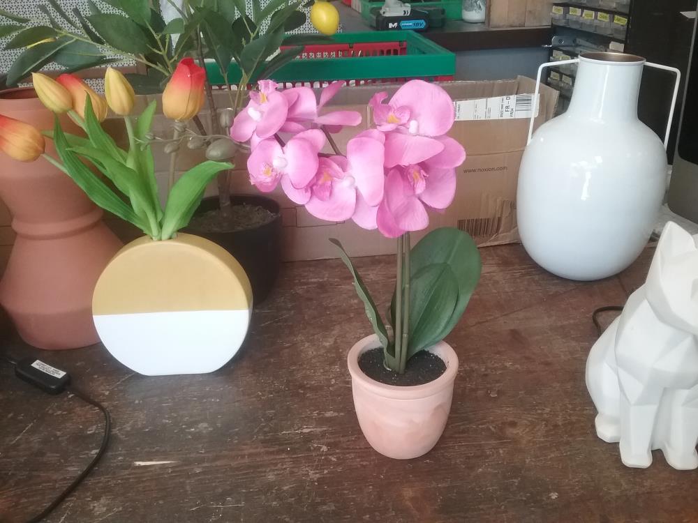 ORCHIDEE DECO