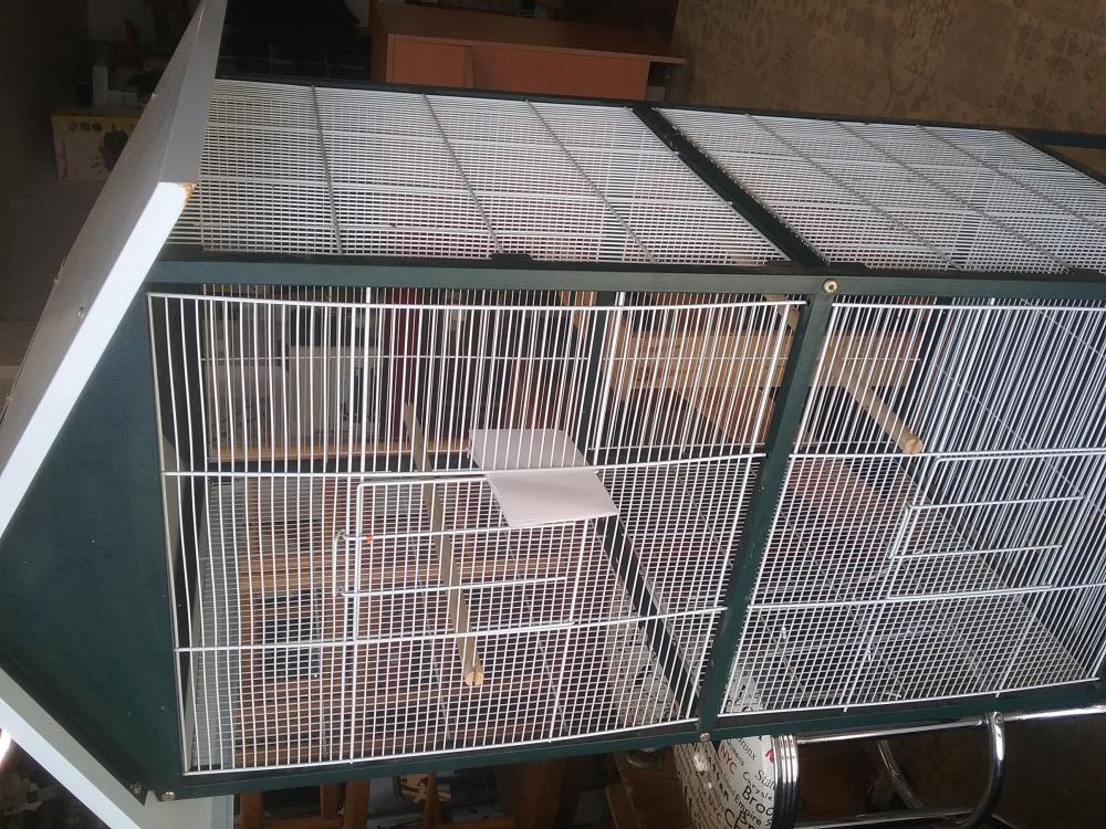 CAGE A OISEAU GM