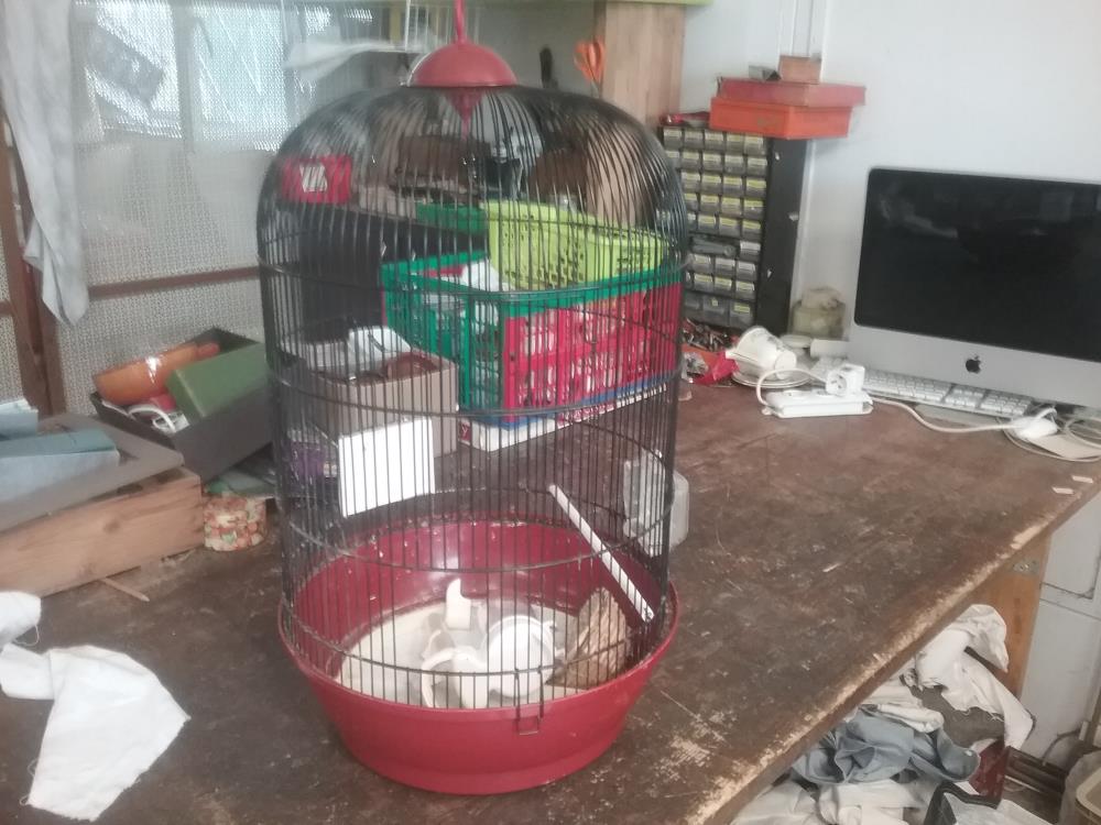 CAGE A OISEAUX 