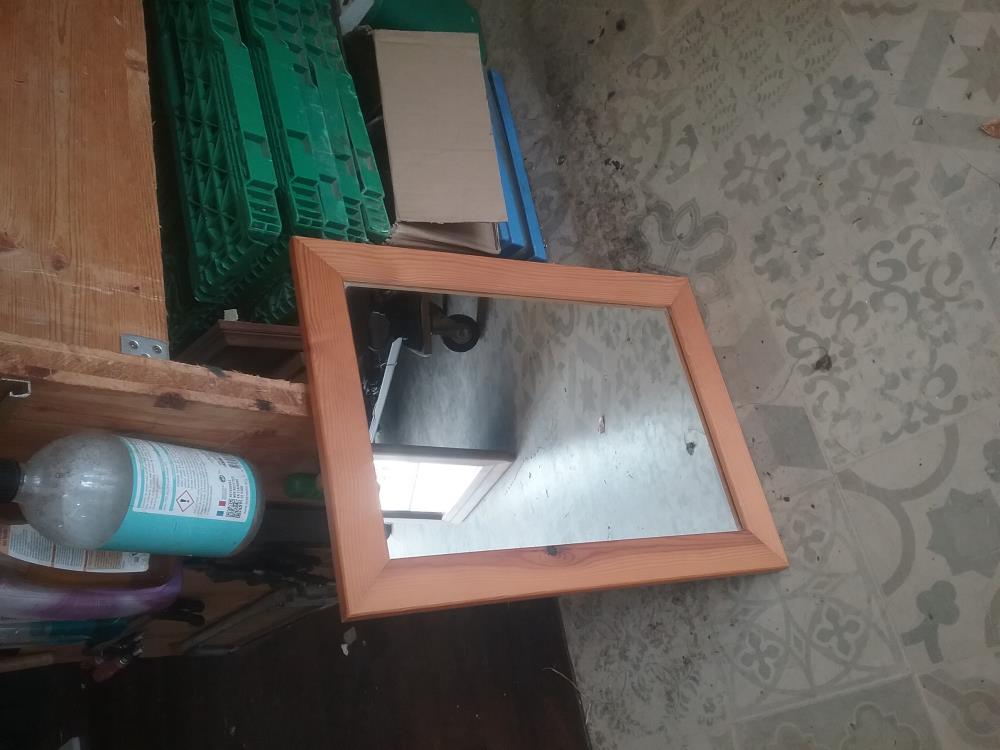 PETIT MIROIR PIN