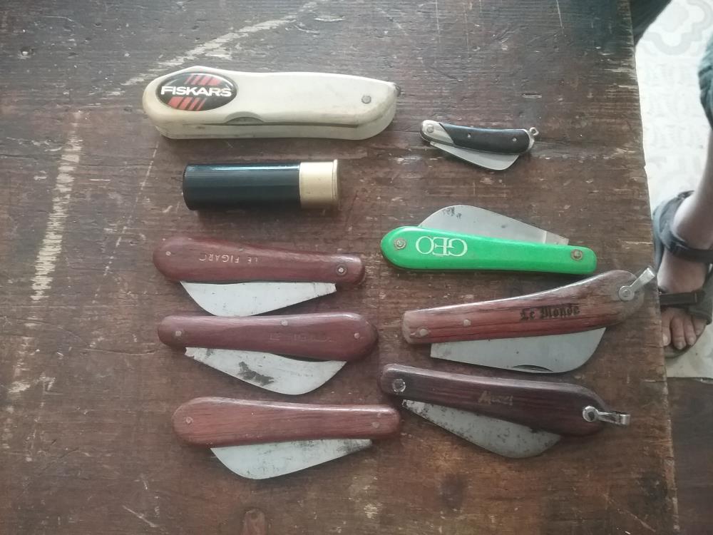 PETIT COUTEAU