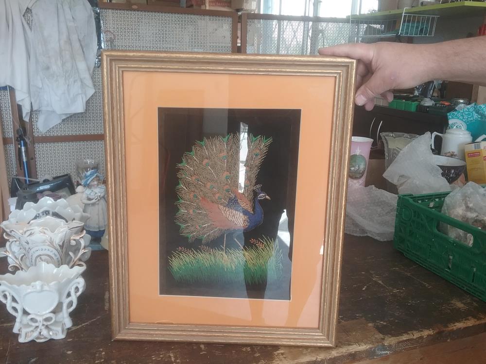 PAON EN BRODERIE