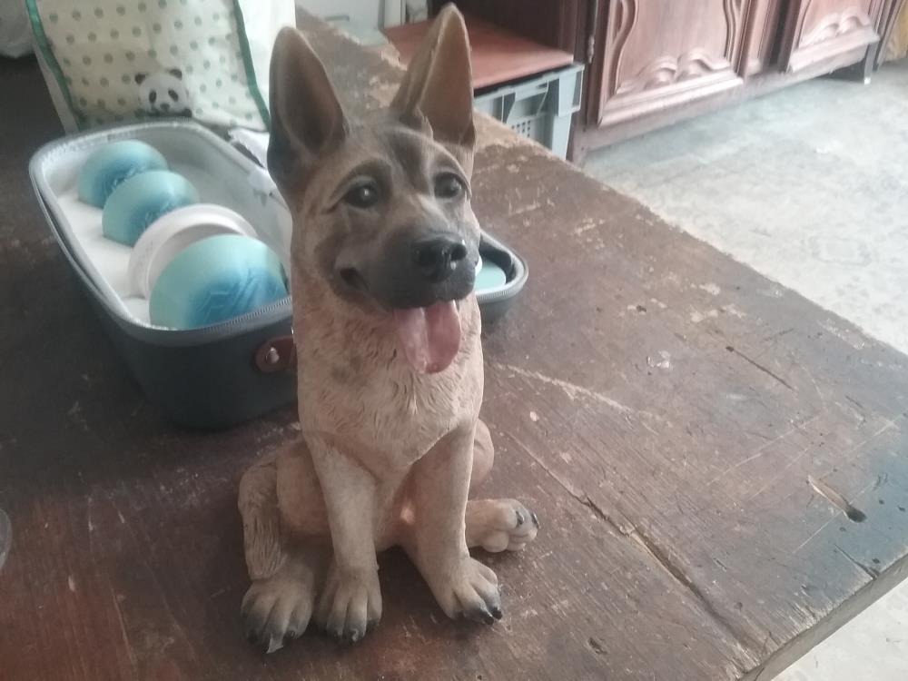 CHIEN RESINE
