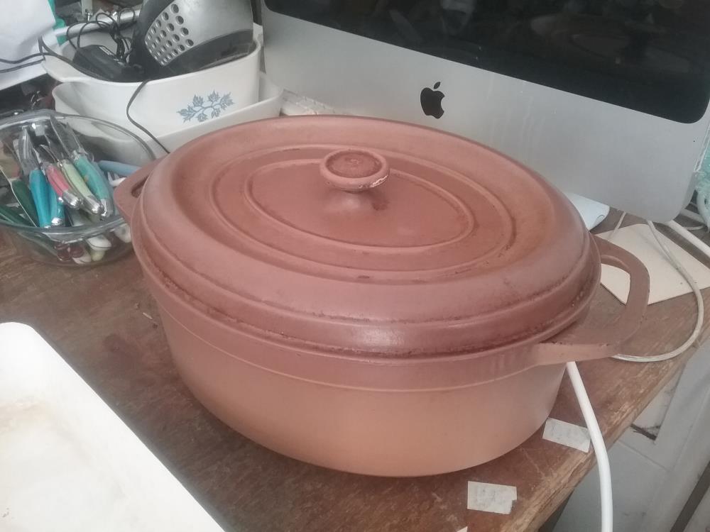 COCOTTE MARRON EN L'ETAT