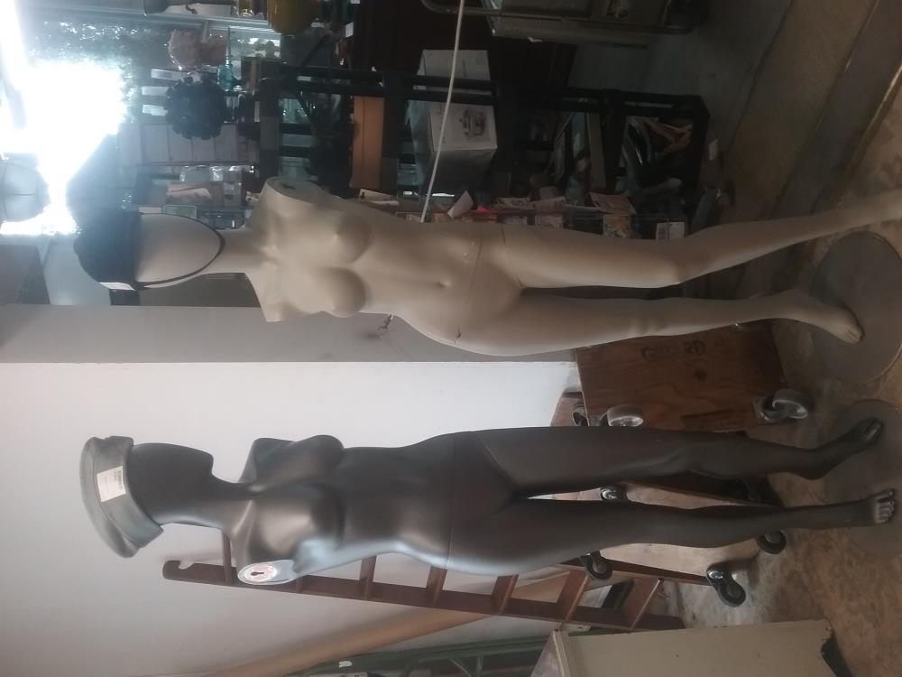 MANEQUIN MANCHOT