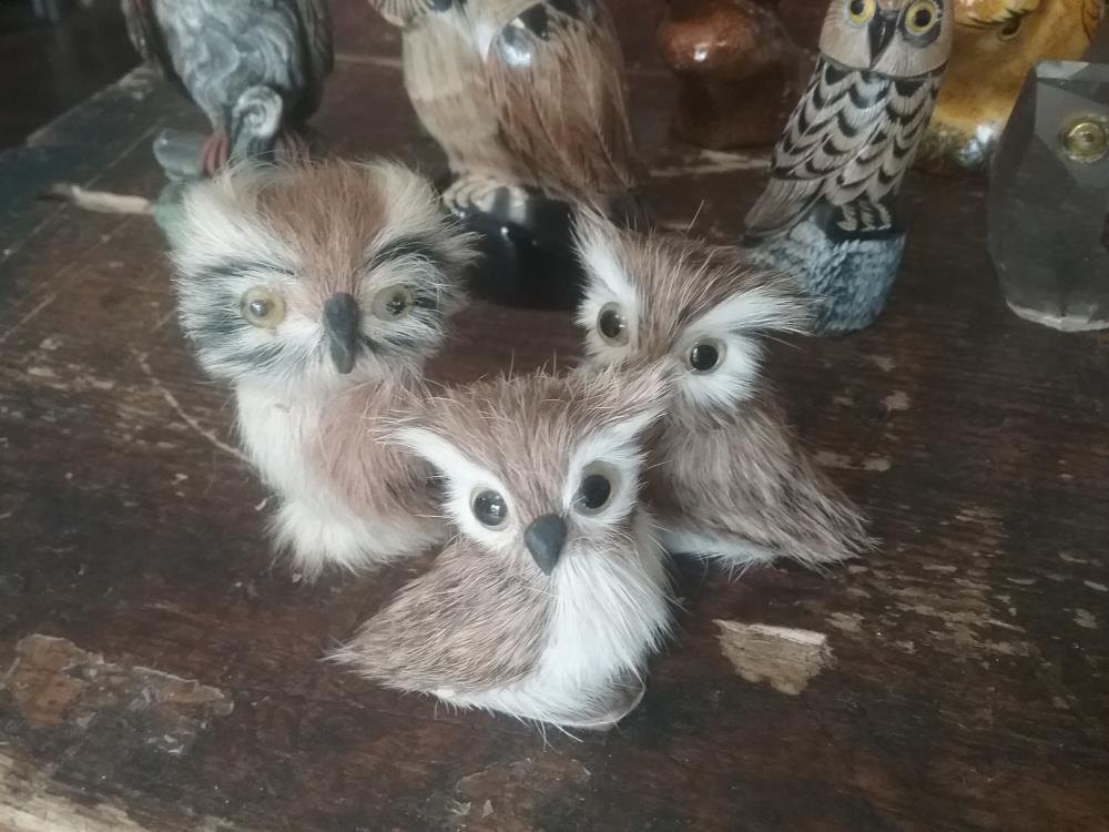3 CHOUETTES AU POIL