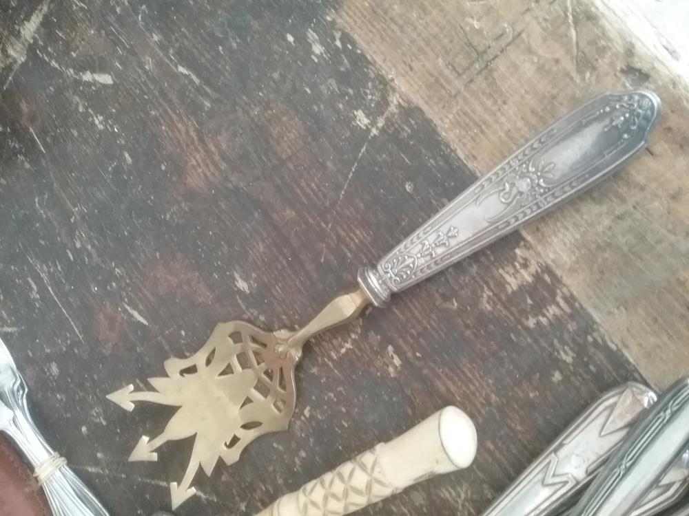 PELLE ARGENT FOURE