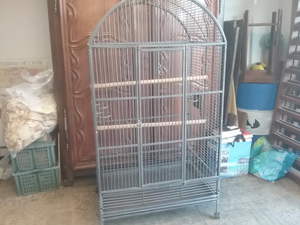 CAGE OISEAU METAL