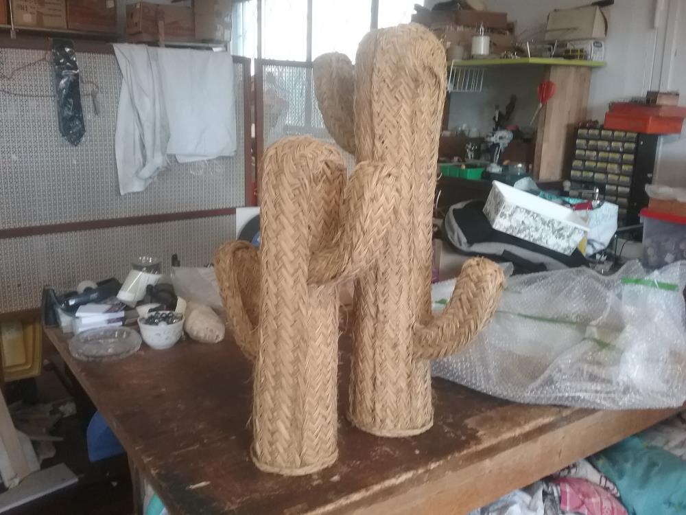 CACTUS DECO