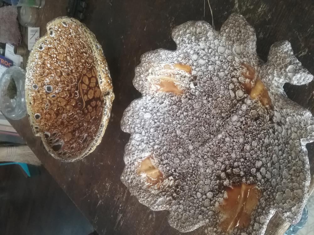 COUPE A FRUITS AN 60