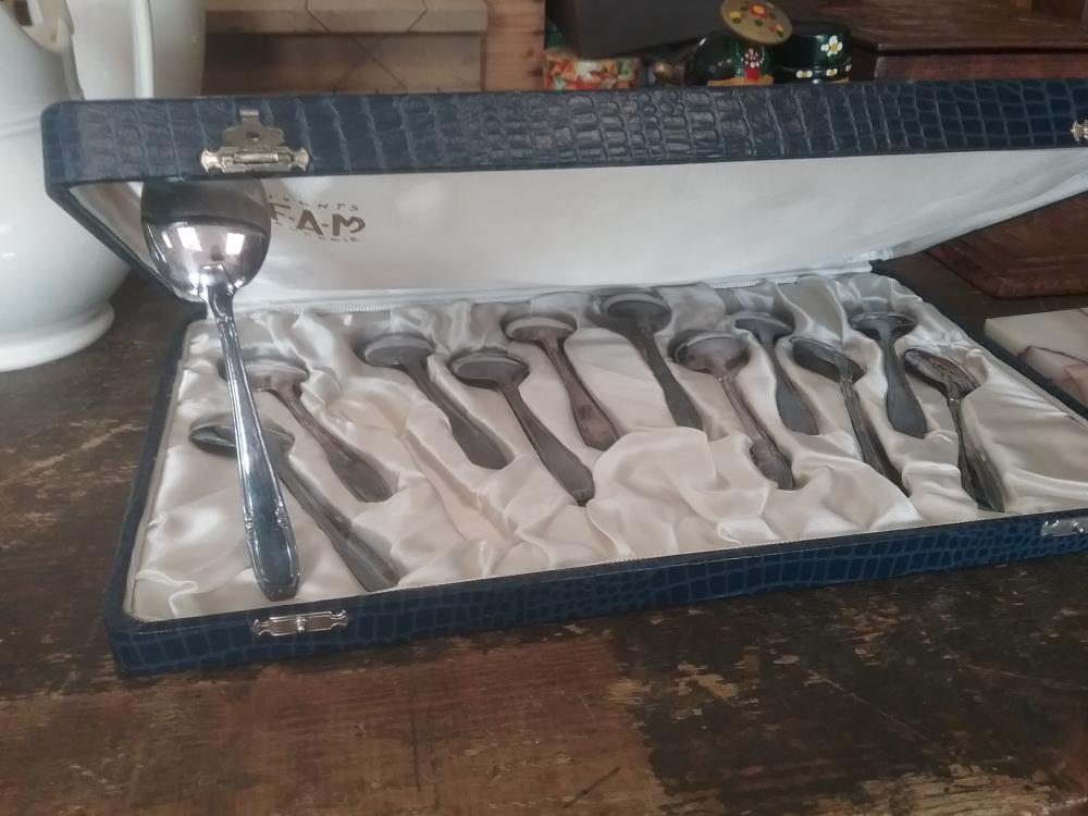 12 CUILLERES SFAM MA