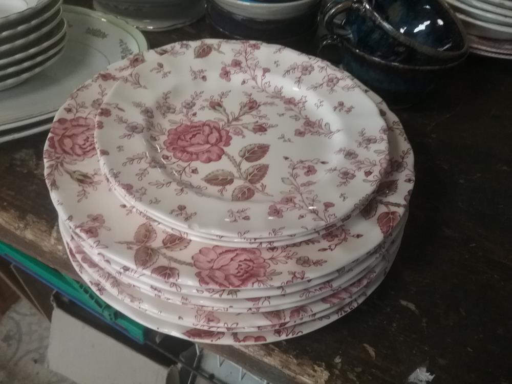 10 ASSIETTES ANGLAISES ROSE