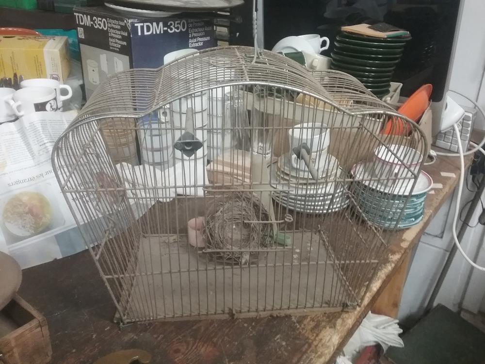 PETITE CAGE OISEAU 