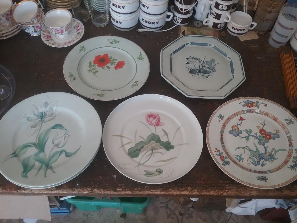 ASSIETTE DE COLLECTION LIMOGES DIVERSE
