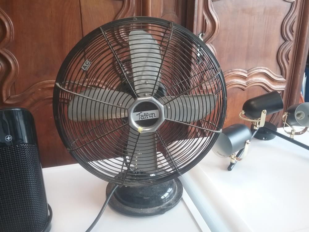 VENTILATEUR TAIFUN