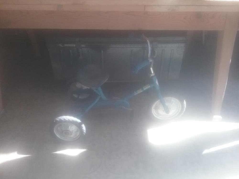 TRICYCLE JUDEZ EN LETAT 