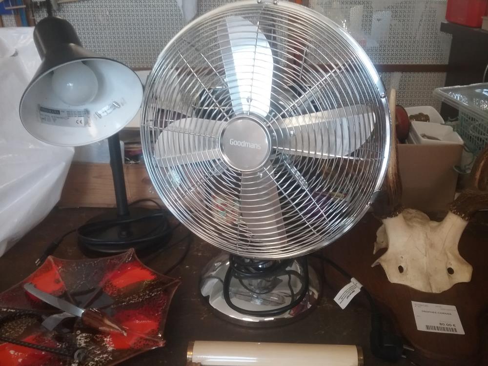 VENTILATEUR GOODMANS