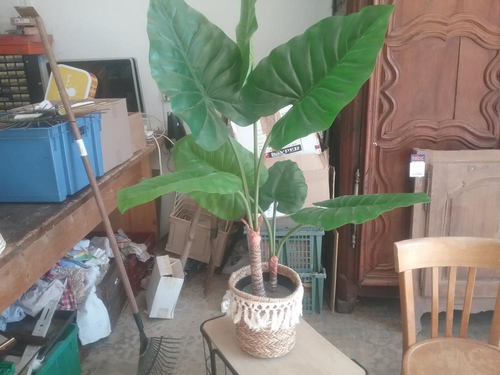 PLANTE ARTIFICIELLE