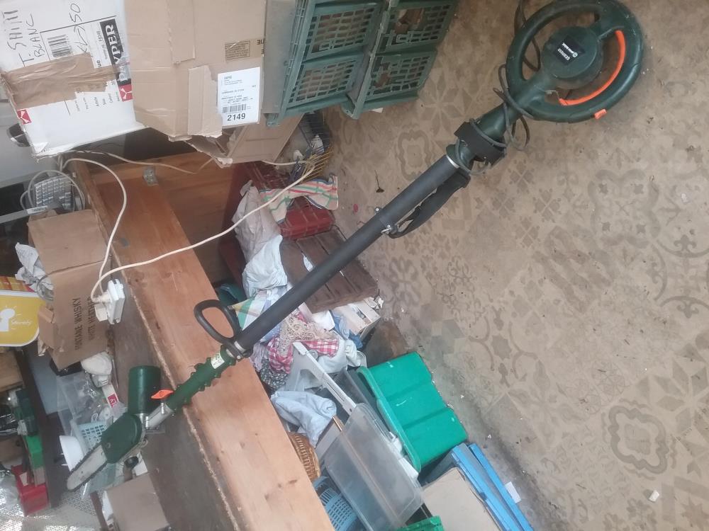 TAILLE BRANCHES ELECTRIQUE