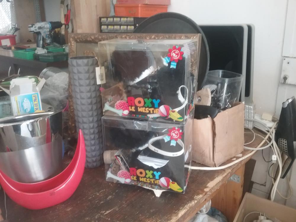 PELUCHE ROXY LE WESTIE