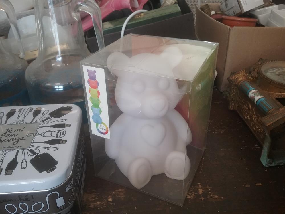 LUMIERE OURS COULEURS