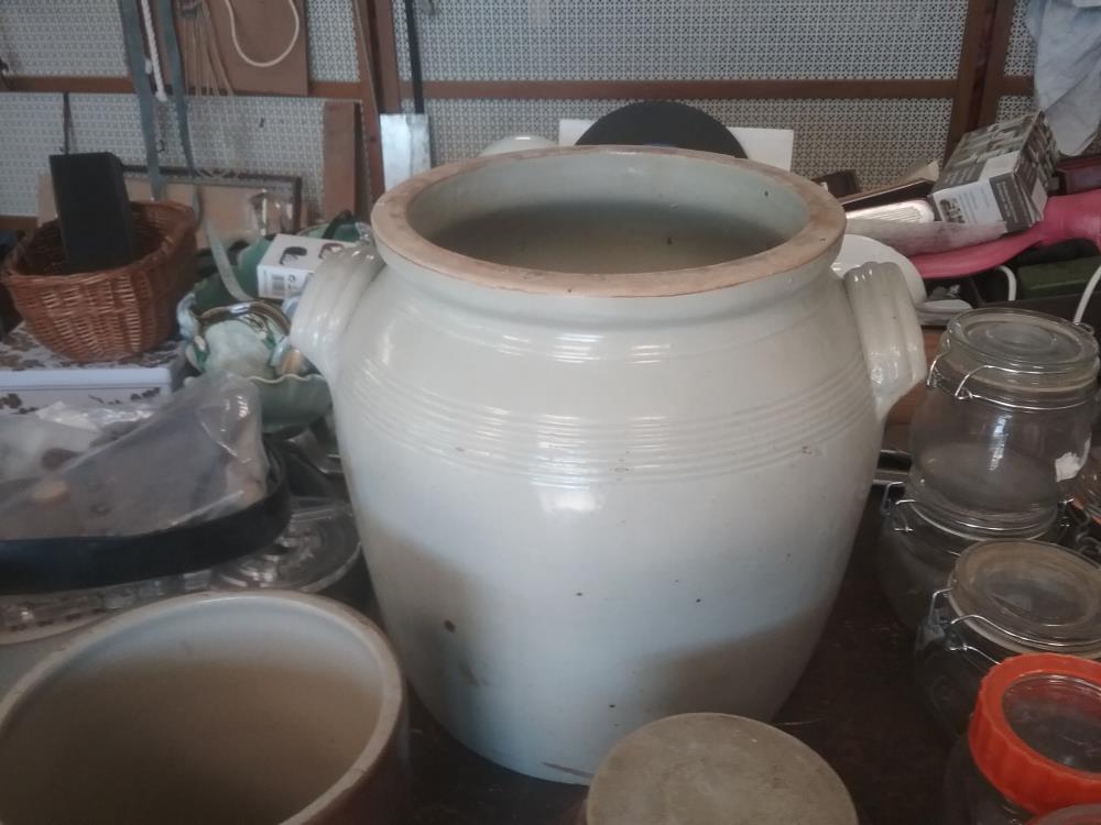 GRANDE GRAISALLE GRISE