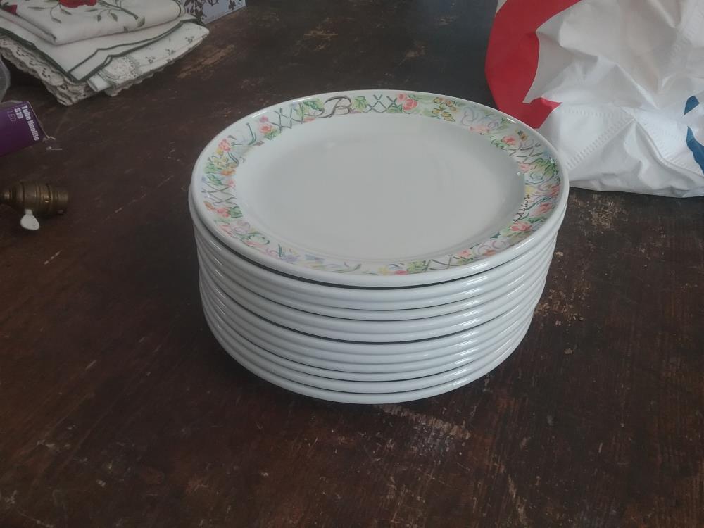 12 ASSIETTES SARREGUEMINE ST CYR
