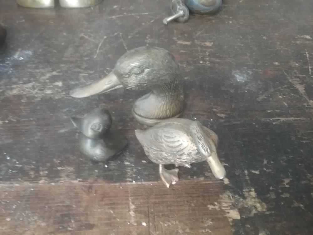 CANARD BRONZE