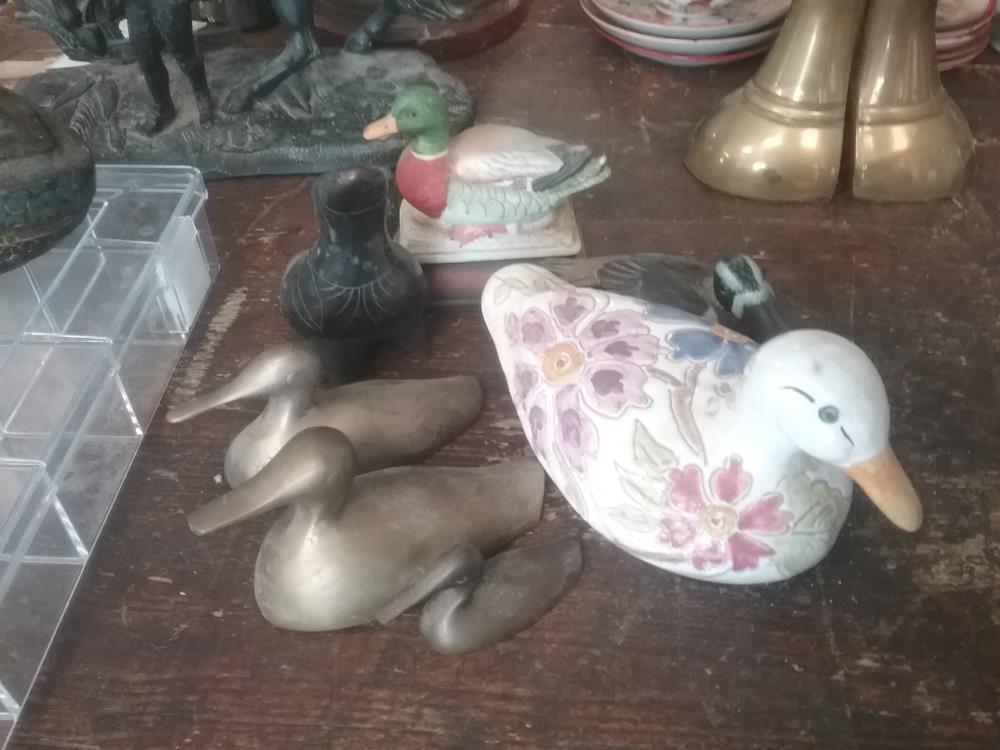 CANARD DECO