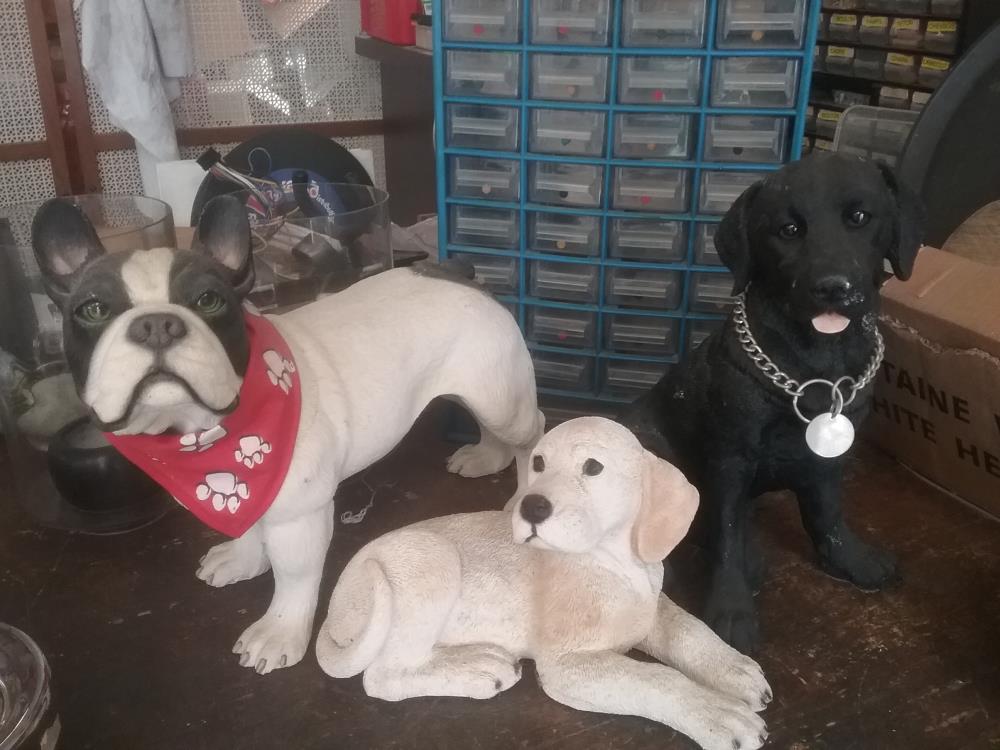 CHIEN DECO