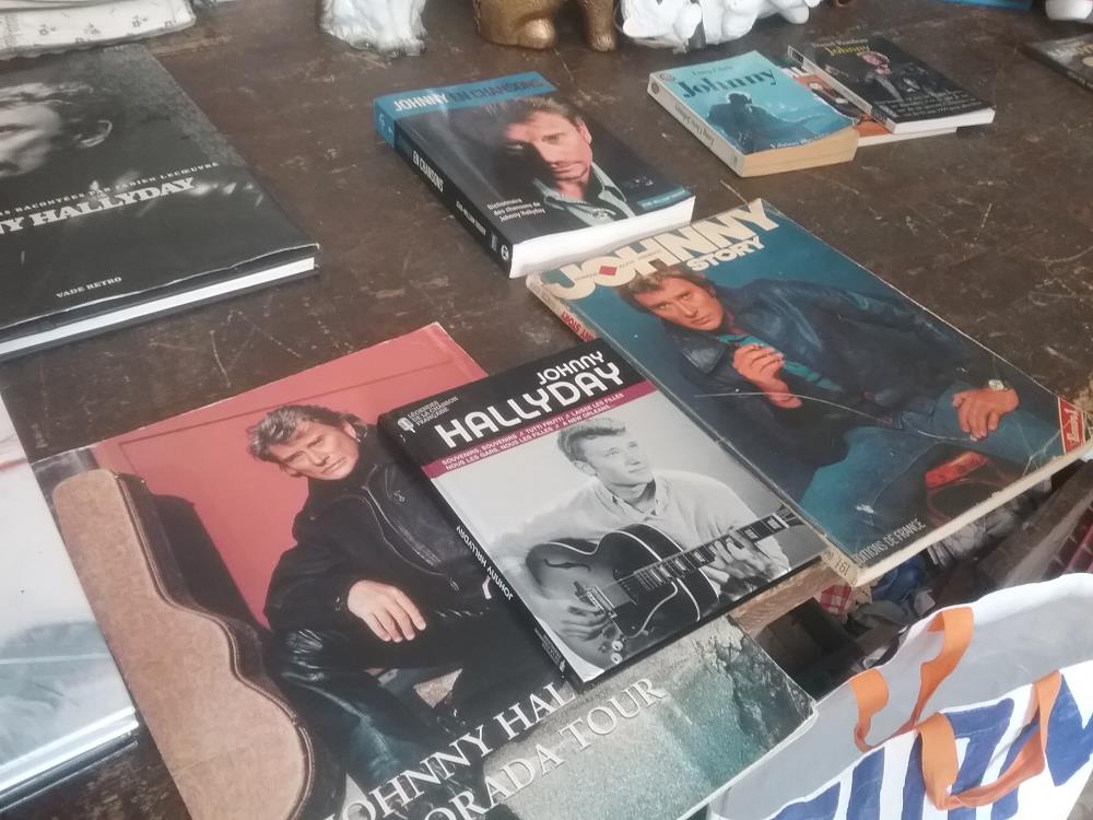 LIVRE JOHNNY HALLYDAY 