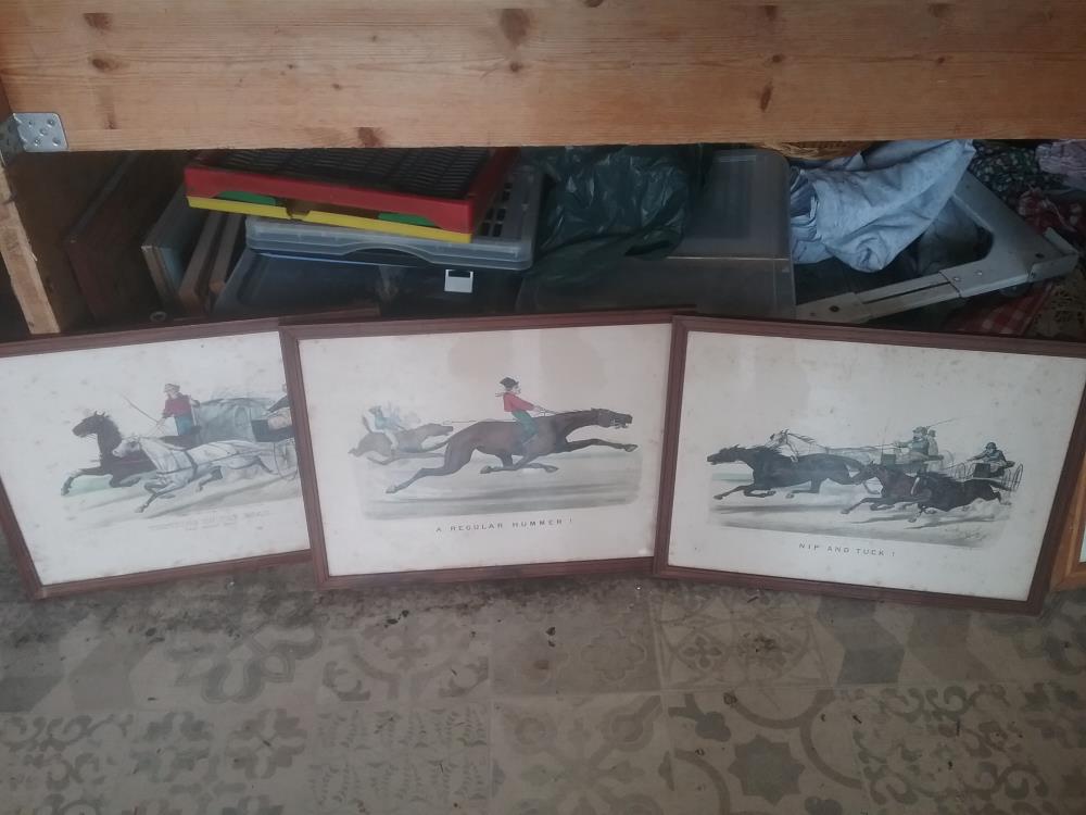 GRAVURE CHEVAL ANGLAISES 