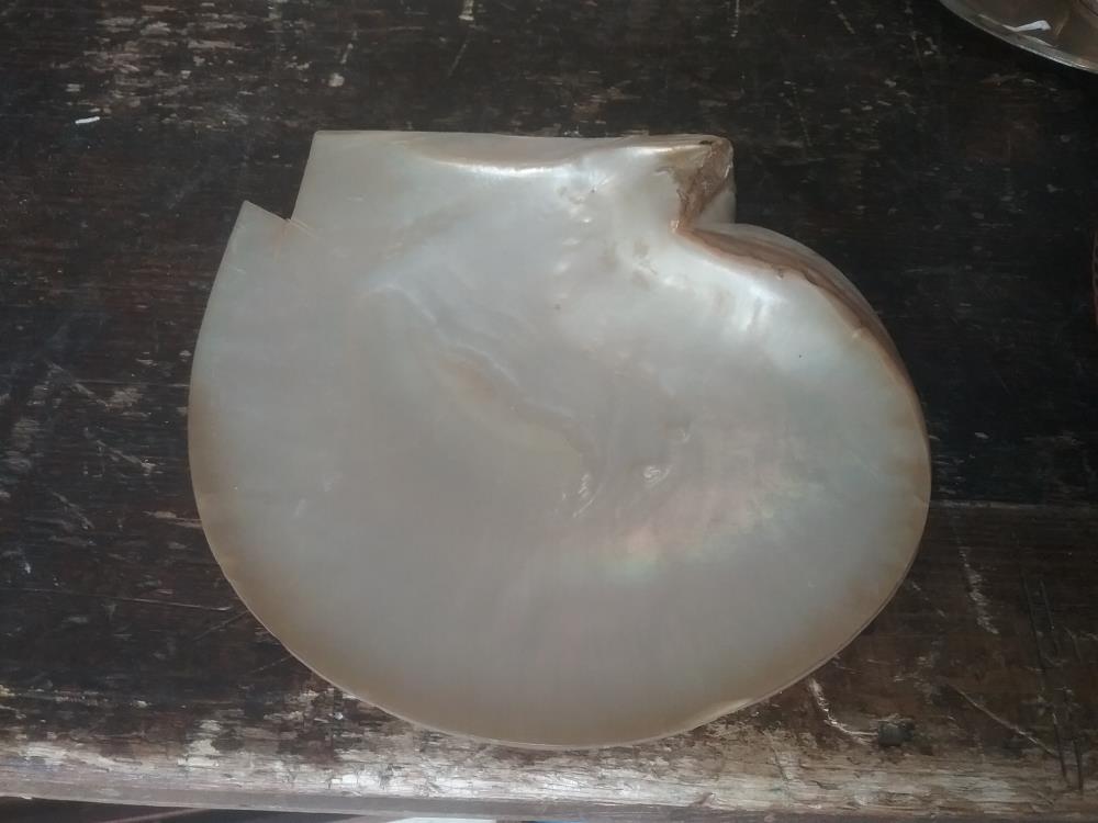PORTE SABON A ENCASTRER NACRE