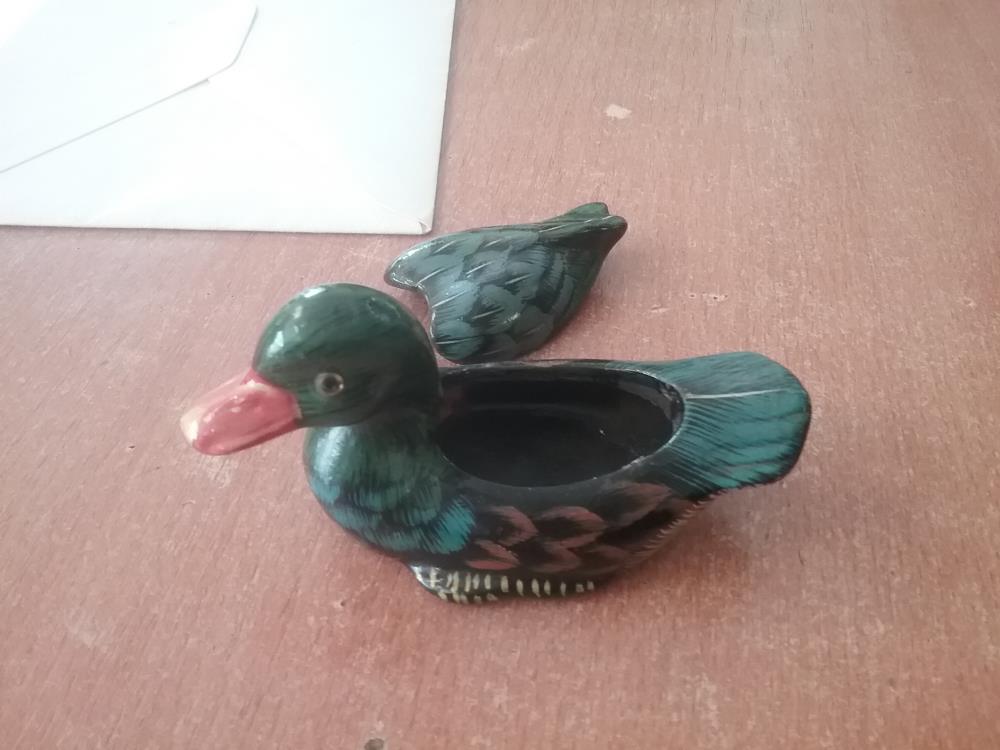 BOITE CANARD
