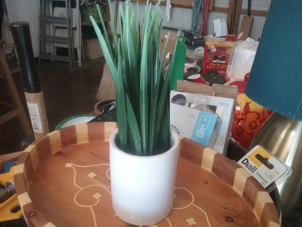 HERBE DECO