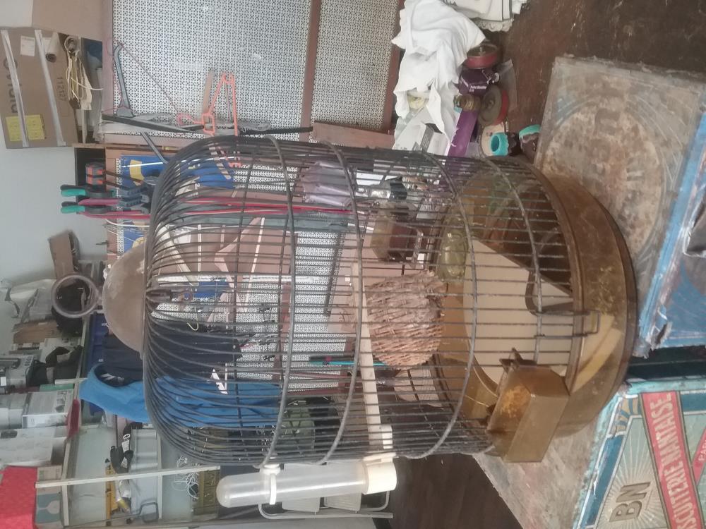CAGE A OISEAU 