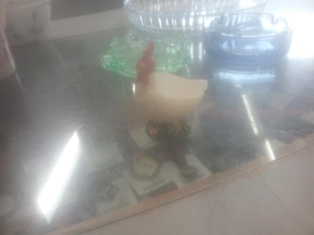 COQUETIER POULE