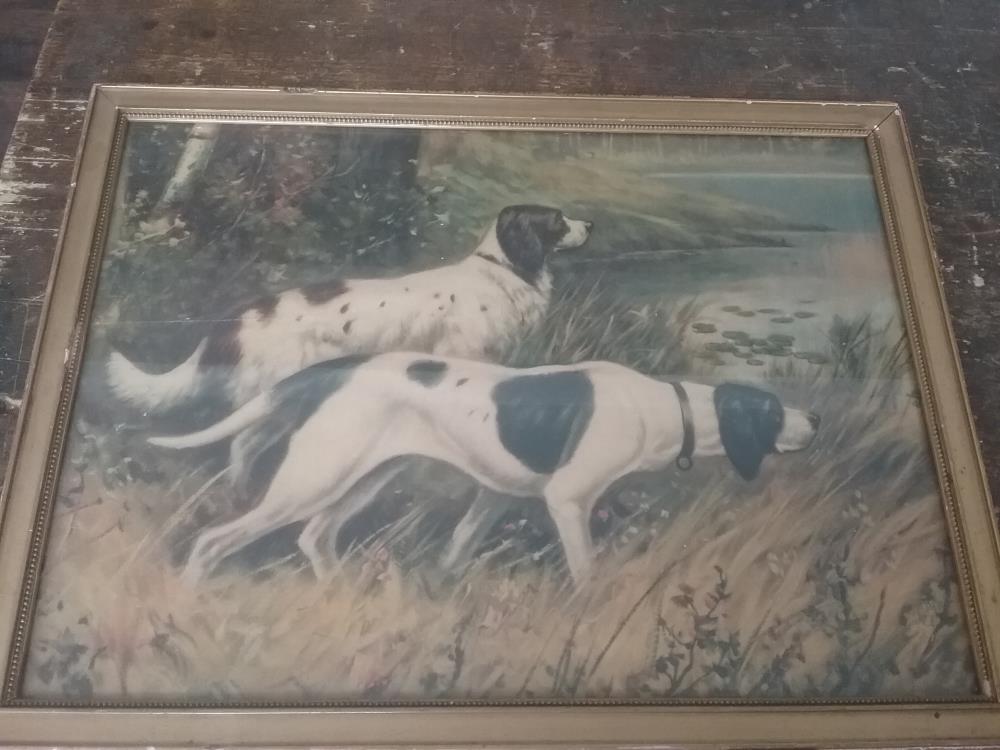 CADRE CHIENS DE CHASSE