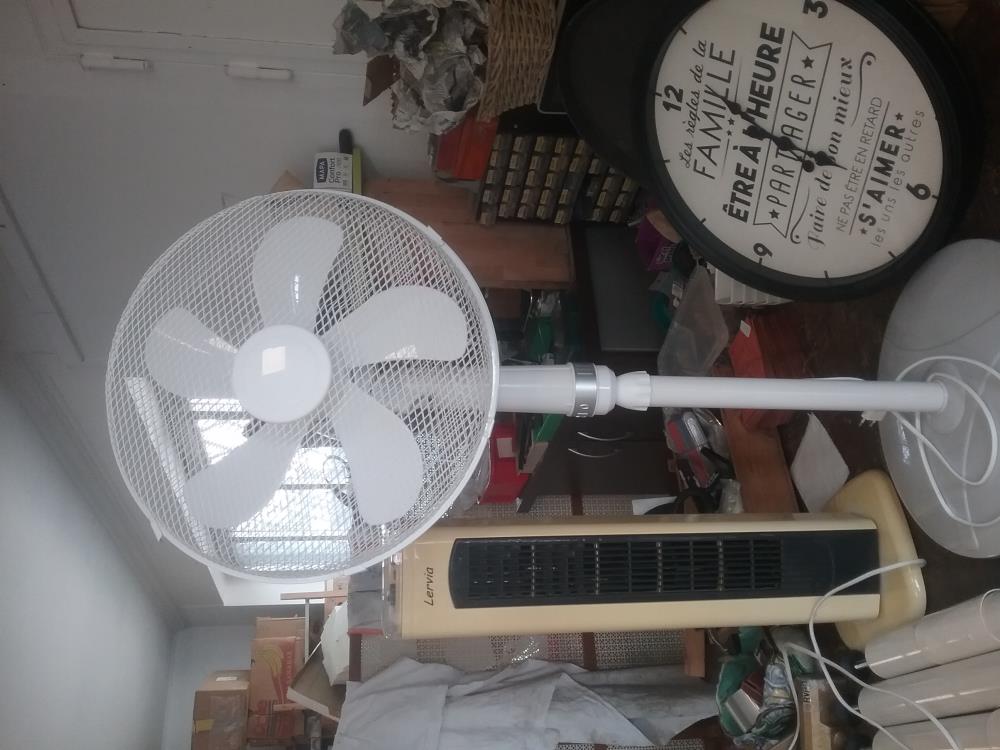 VENTILATEUR SUR PIED 