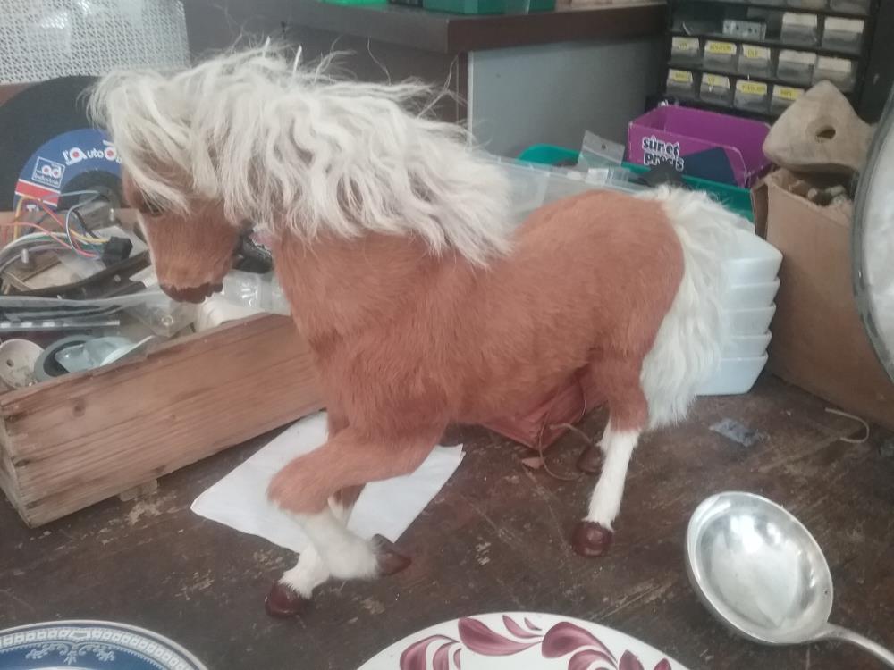 CHEVAL POIL