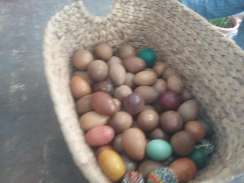OEUF BOIS